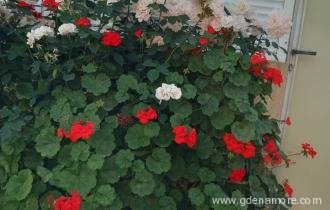 IMG-60899987da78909a1b54a9d58c58b4fb-V